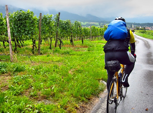 cyklista a vinice