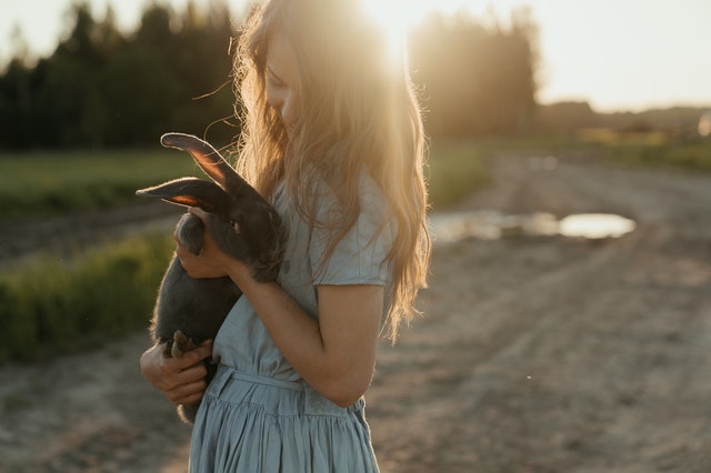 dívka králík